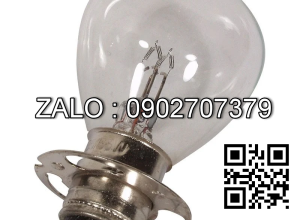 Bóng đèn 24V-62W/62W-P15D