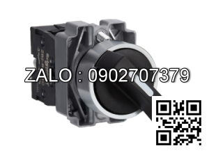 Công tắc Schneider XB2-BJ21C