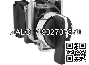 Công tắc XB4BJ53