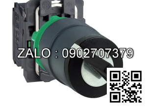 Công tắc XB5AD53N