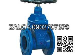 Van cổng gang ty chìm DN80, ASME B16.10