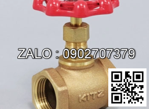 Van cầu hơi nóng gang DN65