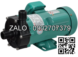 Máy Bơm TW-30R/220V ( Đầu bơm nhựa )