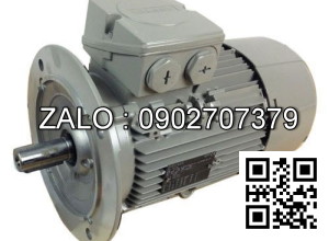 Motor điện 3GBP 162 410-ADG