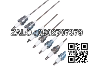 Điện cực đánh lửa WM-G(L) 20/30 ZM