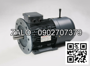 Motor giảm tốc WANSHSIN mặt bích 5 HP 3700W đầu cốt lòi 50mm , tỉ số truyền 30-12