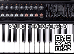 Đàn Roland A300 Pro