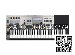 Đàn ORGAN CASIO XW_P1