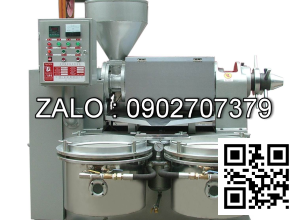 Máy ép dầu lạc công nghiệp YZYX10