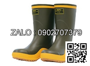 Ủng chống hóa chất Daeshin