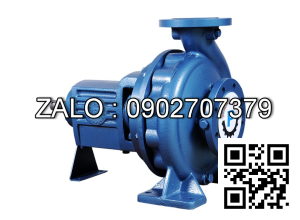 Paragon Pump PA125-40