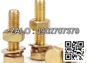 bulong đồng M16x50mm