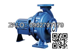 Paragon Pump PA125-40
