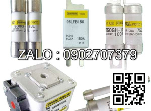 Cầu chì 170M1566D, 700V - 80A