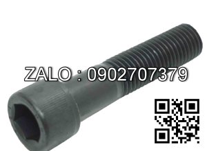 Bộ bulong lục giác M8x30mm, gồm: đai ốc, long đền