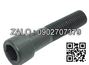 bulong lục giác M20x60mm
