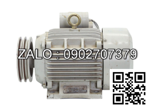 Motor khí dao mài P1V-SO30A0460