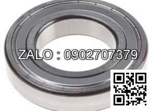 Vòng bi SKF 6025-2RS