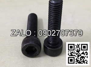 Vớt lại bulong M20*109