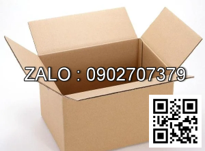 Thùng Carton 250 x 150 x 150mm