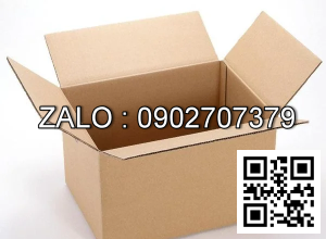 Thùng Carton 250 x 100 x 100mm