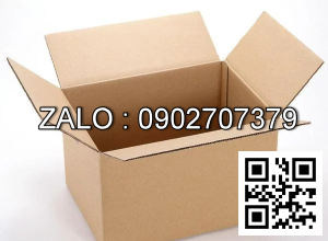Thùng Carton 250 x 250 x 200mm
