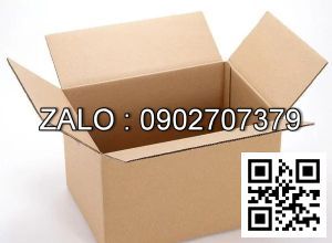 Thùng Carton 300 x 250 x 250mm