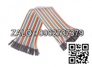 Dây Cắm Breadboard Đực Cái 30cm