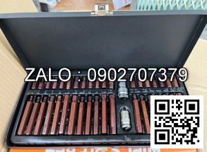 Bộ lục giác tuýt hoa thị 40 chi tiết