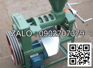 Máy ép dầu thực vật DL-ZYJ09