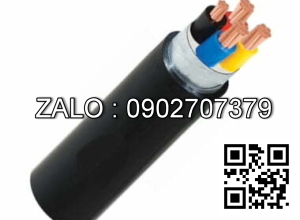 Cáp điện Cadivi CVV/DSTA-2×6 (2×7/1.04) – 0.6/1kV