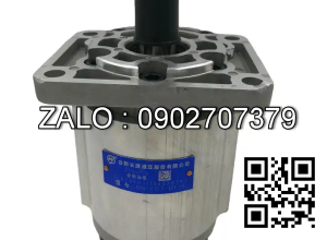 Bơm thủy lực CBN-F312-FBR CBN-F312-FBR