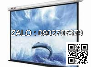 Màn chiếu treo tường ScreenPro WS1060