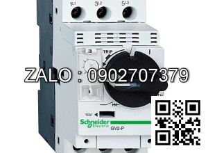 Cầu dao bảo vệ động cơ Schneider GV2P32 3P