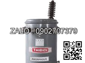 Máy biến áp 24kv HPTE24 - I1 - 1P(2P)