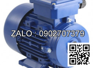 ĐỘNG CƠ ĐIỆN MARELLIMOTORI BAA 315 SM4 110KW