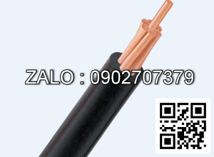 Dây AV-300 (61/2.52)-450/750V