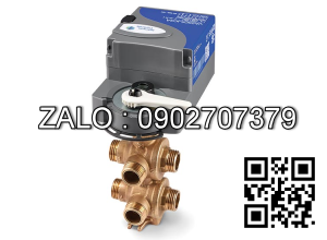 Van bi Inox ren ngoài ỏ giữa 6 ngã DN8