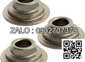 Miếng chụp lò xo xúpap 1007015 WF491GP