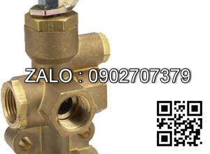 Van bi thau ren trong 6 ngã DN10