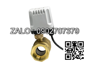 Van bi thau điều khiển khí nén 2 ngã DN65