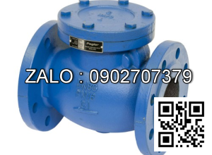 Van 1 chiều mặt bích DN250