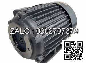 Motor bơm kéo bơm thủy lực 11KW 7.5KW 3 PHASE