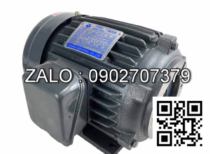 MOTOR kéo bơm dầu thủy lực 3HP 3.7KW