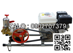 Máy rửa xe dây đai động cơ xăng 5,5hp