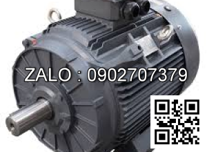 Motor điện 3 pha 220KW - 300HP 6 cực điện