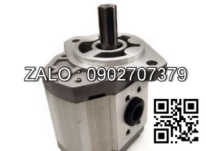 Hydraulic Pump CBQ-F550-AFH