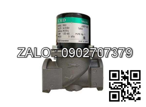 Van Ngắt Gas CKD DSG-25-Ac200V