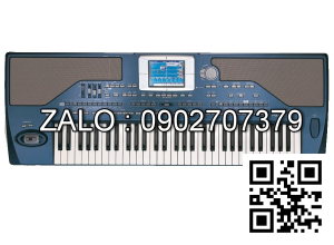 Đàn Organ Korg Pa800