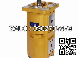 Bơm thủy lực CBQL-E563/F520-CFH CBQL-E563/F520-CFH